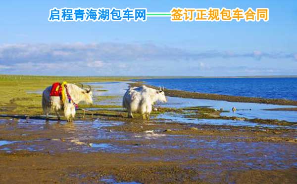 西宁机场到青海湖