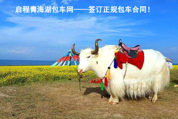 青海旅游十大景点排名