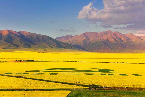 门源县包车到旅游景点