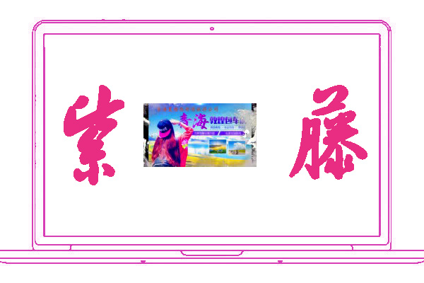 <font color='#330099'>紫藤</font>
